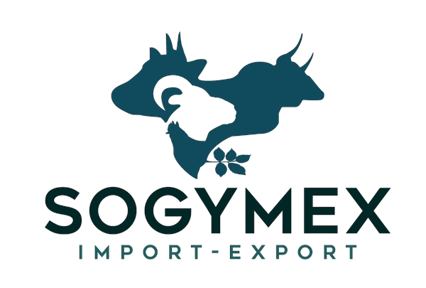 7e006e91-e41c-441f-97f1-4217c807fe72_removalai_preview